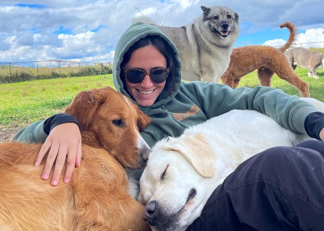 A Camp Cookstown counsellor in the field with a group of happy dogs